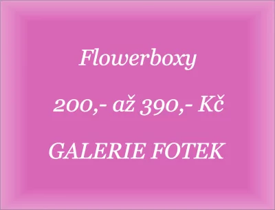 Flowerboxy od 200,- do 390,- Kč